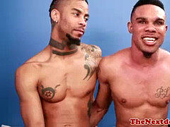 Amateur, Noire, Noir ébène, Homosexuelle, Interracial, Tatouage