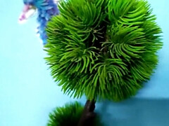 Застукали, Парочка, Доминирование, Пальцем, Хд, Мужья, Вибратор, Жена