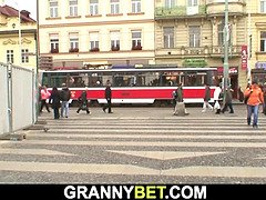 Gros seins, Sucer une bite, Brunette brune, Femme couguar, Mature, Mère que j'aimerais baiser, Maman, Belle mère