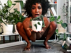 Cul, Noir ébène, Béant, Branlette thaïlandaise, Masturbation, Solo, Adolescente, Jouets