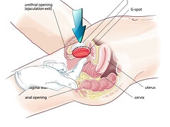 巨乳な, 古典, 指いじり, 目瞪口呆, Hd, マッサージ, 天然, 乳首