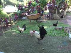 指いじり, 彼女, オーガズム, アウトドア, 小柄, ハメ撮り, ガリガリ, おもらし