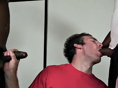 Grosser schwanz, Schwarz, Schwarz, Gruppe, Interrassisch