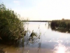 Amateur, Culo, Rubia, Estilo perrito, Sexo duro, Al aire libre, Pov, Realidad