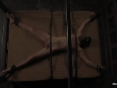 Sadomasochismus, Dildo, Gesichtssitzen, Weibliche domination, Erniedrigung, Orgasmus, Schmerz, Muschi